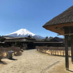 From Tokyo: Mount Fuji And Hakone Private Full Day Trip - Who Will Love This Tour?
