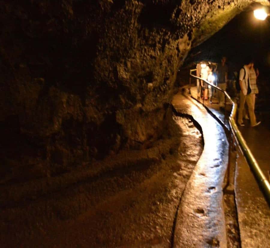 From Tokyo: Mount Fuji Full Day Private Customizable Tour - The Fully Private Experience: Flexibility and Comfort