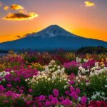 From Tokyo: Mount Fuji Full-Day Private Sightseeing Tour - The Itinerary Breakdown