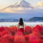 From Tokyo : Mount Fuji & Hakone Private Tour With Guide - Who Should Consider This Tour?