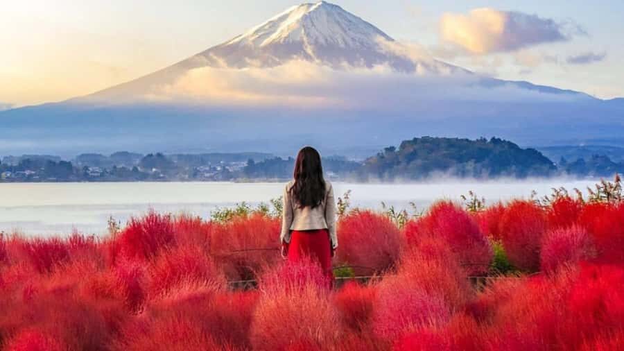 From Tokyo : Mount Fuji & Hakone Private Tour With Guide - Who Should Consider This Tour?  
