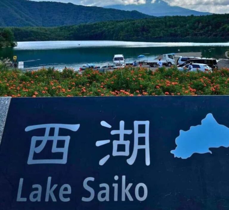 From Tokyo: Mount Fuji Private Tour with Driver-Guide - The Journey Begins: Comfort, Convenience, and Customization