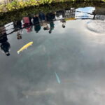 From Tokyo: Mt. Fuji 5th station and Oshino Hakkai Day Trip - Introduction: What This Tour Offers