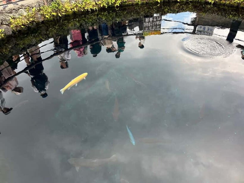 From Tokyo: Mt. Fuji 5th station and Oshino Hakkai Day Trip - Introduction: What This Tour Offers