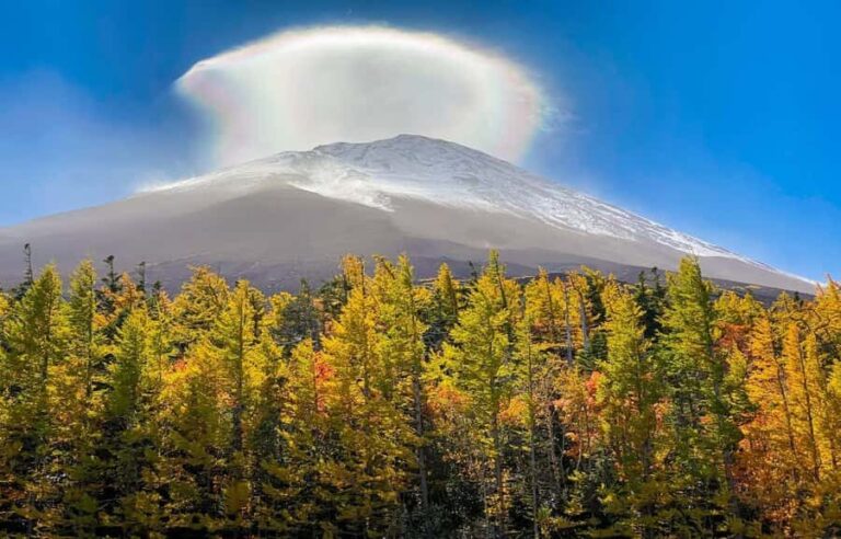 From Tokyo: Mt. Fuji 5th Station & Hot Spring Day Trip - Exploring Mt. Fuji: The Heart of the Tour