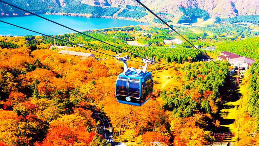 From Tokyo: Mt. Fuji Cruise & Hakone Ropeway Day Trip - What Reviewers Say