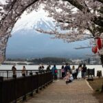 From Tokyo Mt Fuji Hakone Private Customizable Day By Guide - The Itinerary Breakdown