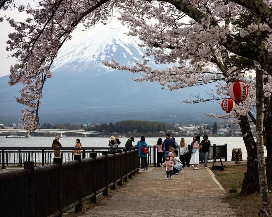 From Tokyo Mt Fuji Hakone Private Customizable Day By Guide - The Itinerary Breakdown