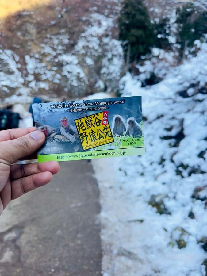 From Tokyo & Nagano Snow Monkeys Park Customized Day Tour - The Itinerary Breakdown and Practical Details