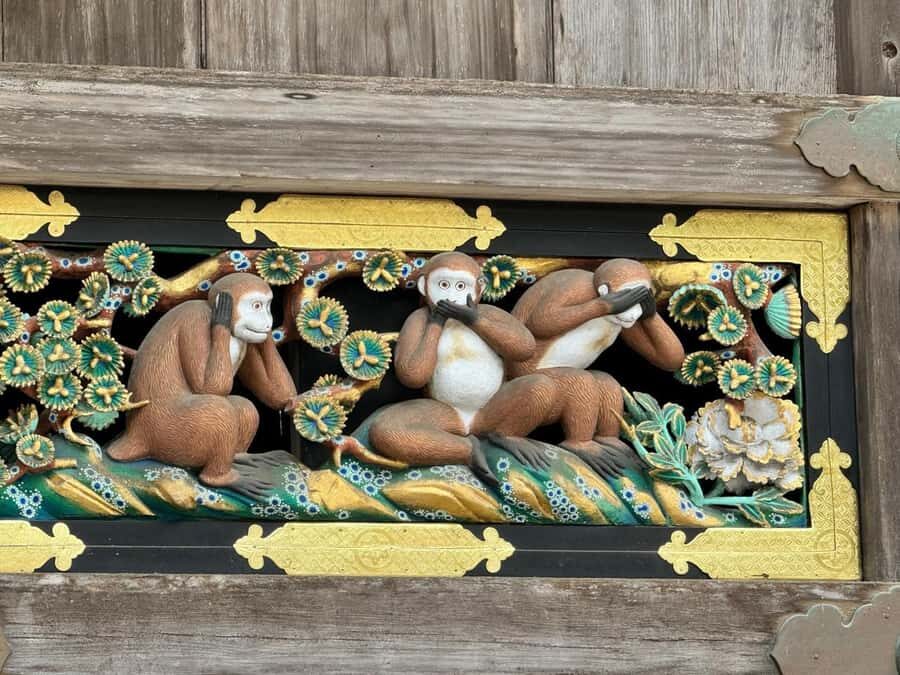 From Tokyo: Nikko Full Day Private (Customized Tour) - Why This Tour Is Worth It