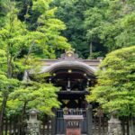 From Tokyo: Nikko National Park Private Full Day Tour In Car - Transportation and Logistics