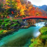 From Tokyo: Nikko Private Tour with UNESCO Sites - Why This Tour Offers Great Value