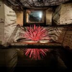 From Tokyo: Nikko World Heritage & Quarry Ruins Day Trip - An In-Depth Look at the Nikko Day Trip Experience