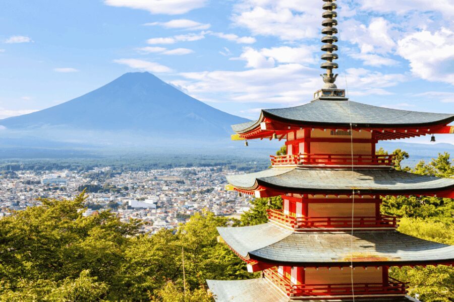 From Tokyo: Private Day Trip to Mount Fuji & Fuji Five lakes - Why This Tour Offers Good Value
