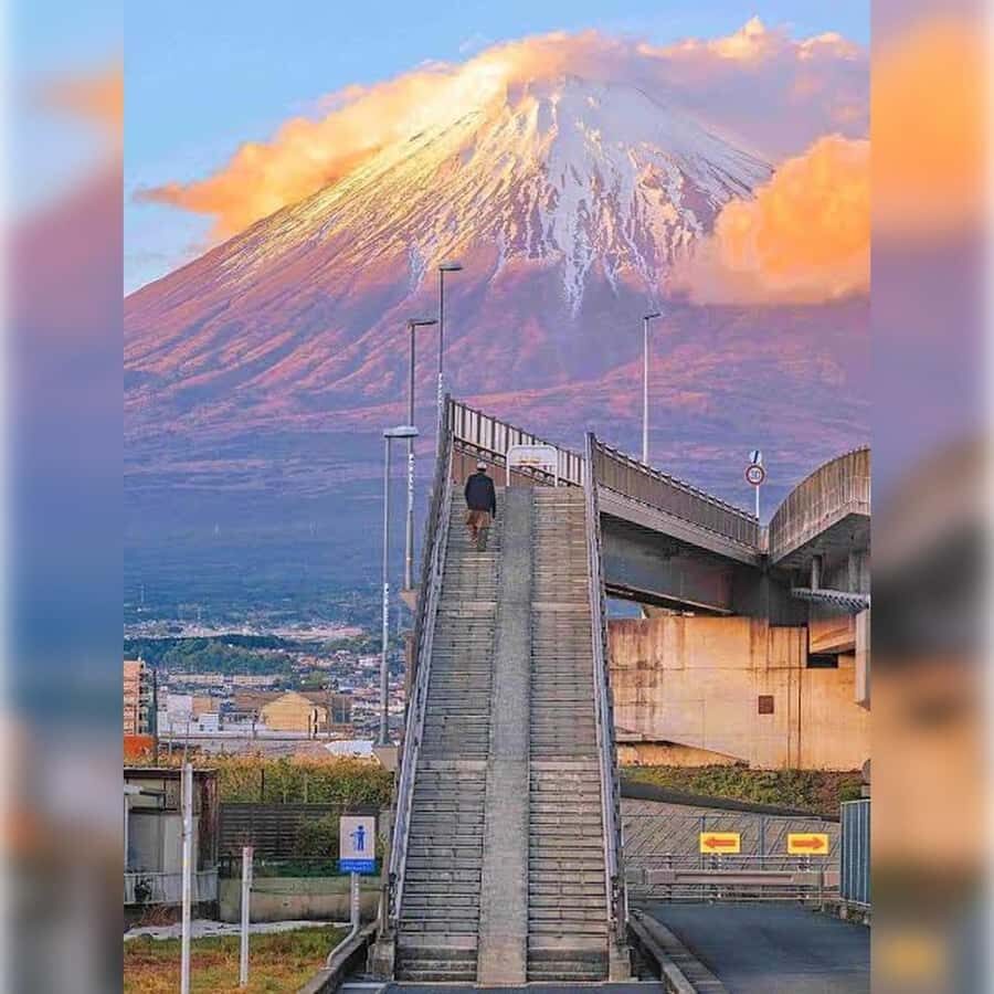 From Tokyo to the Clouds:A Private customize Mount Fuji Tour - An In-Depth Look at the Experience