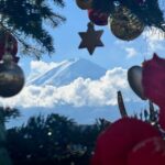 From Tokyo:Mt.Fuji &Hakone Trip with English Speaking guide - Transportation & Logistics