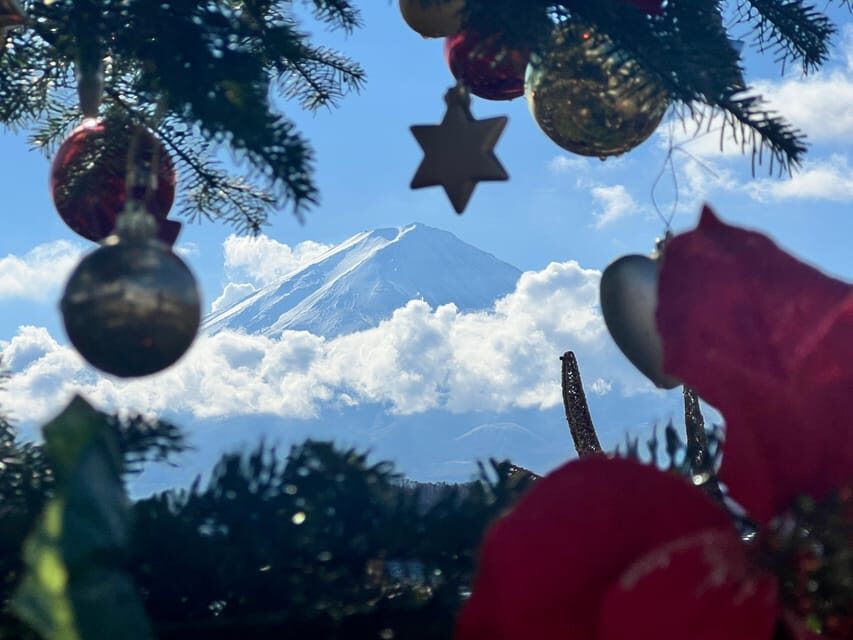 From Tokyo:Mt.Fuji &Hakone Trip with English Speaking guide - Transportation & Logistics