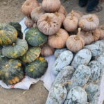 From Vientiane: Plain of Jars Tour & Homestay - What You Should Bring and Keep in Mind