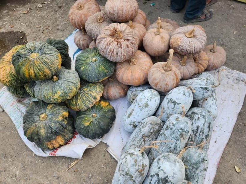 From Vientiane: Plain of Jars Tour & Homestay - What You Should Bring and Keep in Mind