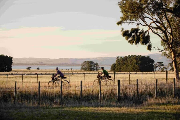 From Wellington: Remutaka Rail Trail eBike Tour - The Itinerary in Detail