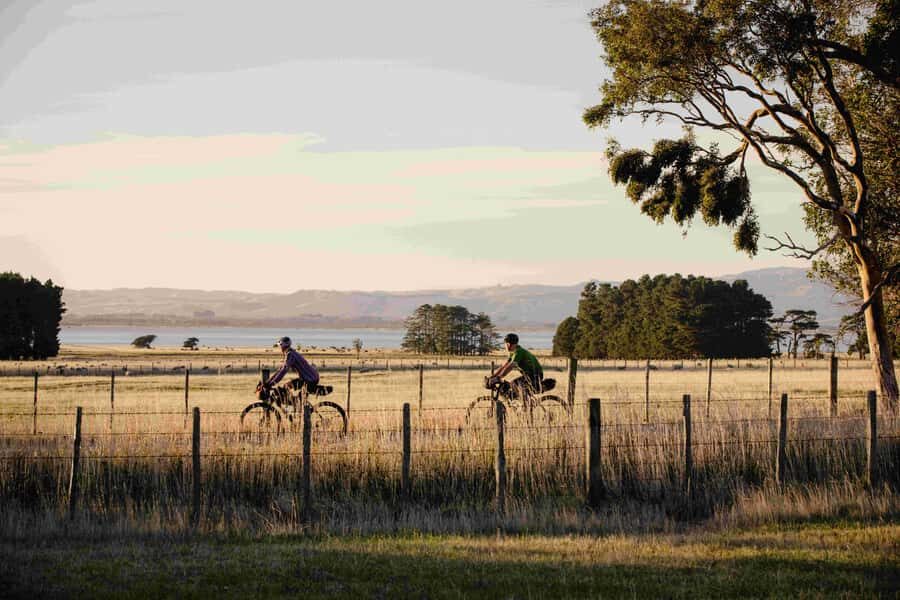 From Wellington: Remutaka Rail Trail eBike Tour - The Itinerary in Detail