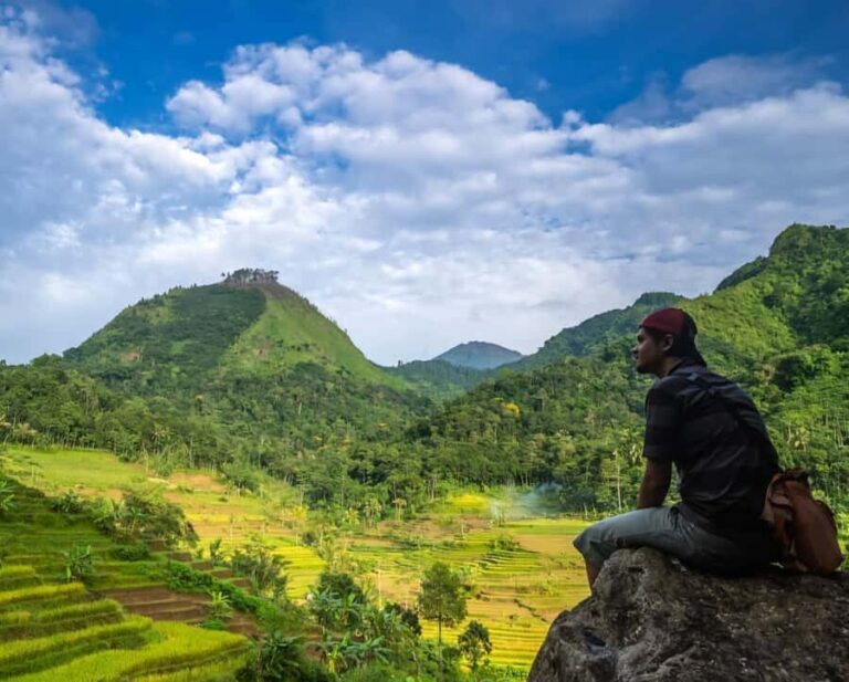 From Yogyakarta: Hidden Waterfall & Selogriyo Rice Terraces - The Itinerary Breakdown: What to Expect