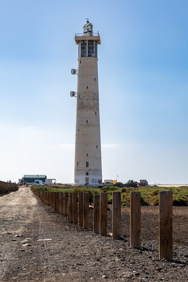 How to Book a Dolphin and Whale Watching Tour from Morro Jable, Fuerteventura