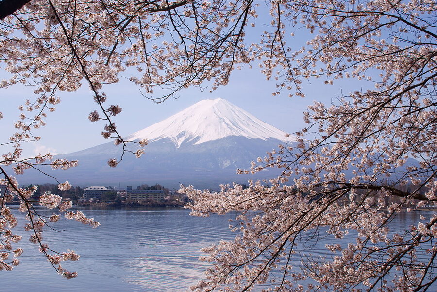 Lake Kawaguchiko with cherry blossoms and Mount Fuji