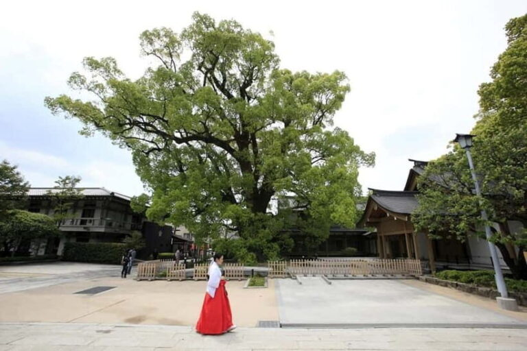 Fukuoka: Dazaifu Tenmangu 2-hour Guided Tour - What Makes This Tour Valuable?
