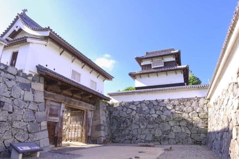 Fukuoka: Fukuoka Castle and Ohori Park Guided Tour - In-Depth Look: What to Expect from the Tour
