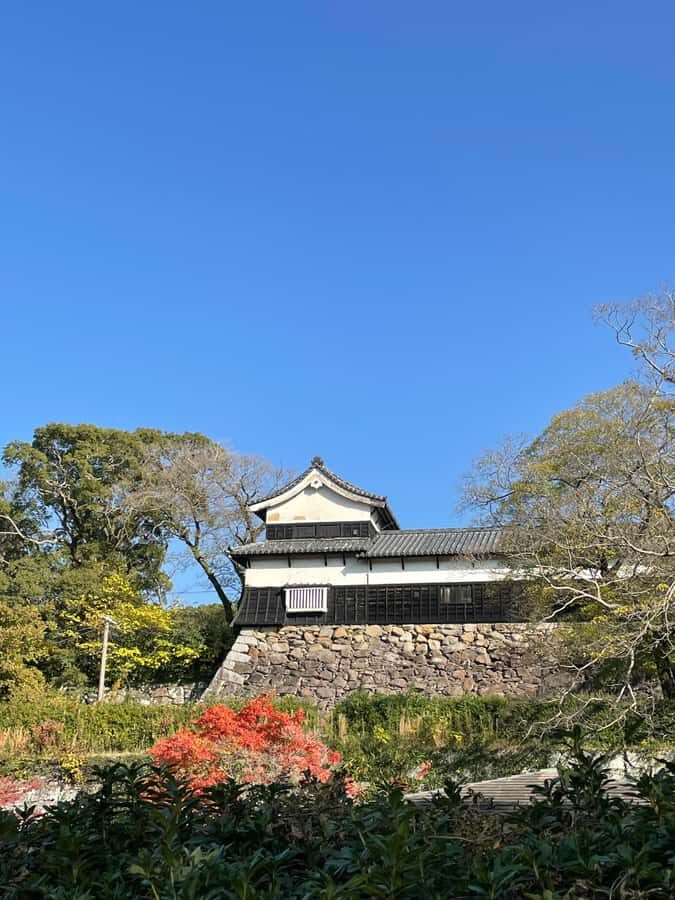 Fukuoka: Good Morning at Ohori Park and Fukuoka Castle Ruins - A Closer Look at the Tour