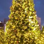 Fukuoka: Hakata & Tenjin Christmas Markets Walking Tour - What to Expect During the Tour