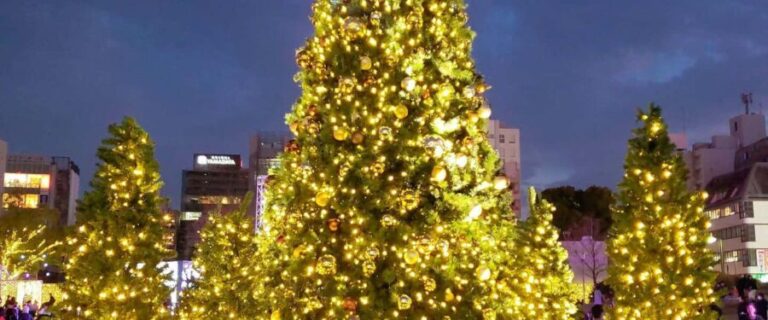 Fukuoka: Hakata & Tenjin Christmas Markets Walking Tour - What to Expect During the Tour