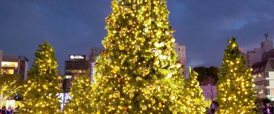 Fukuoka: Hakata & Tenjin Christmas Markets Walking Tour - What to Expect During the Tour