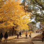 Fukuoka: Hidden History of Zen, Castles & Rebellion Tour - Exploring Fukuoka’s Hidden Gems: A Detailed Breakdown