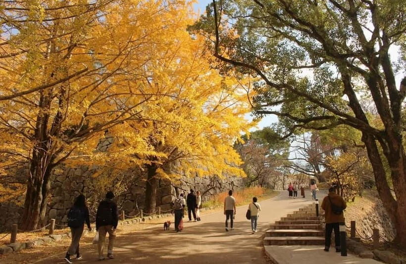 Fukuoka: Hidden History of Zen, Castles & Rebellion Tour - Exploring Fukuoka’s Hidden Gems: A Detailed Breakdown