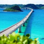 Fukuoka: Mojiko, Karato, Tsunoshima Bridge Day Trip - The Sum Up