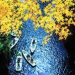 Fukuoka: Mt.Aso, Miyazaki, Takachiho Gorge boat/Beef Lunch Tour - Mt. Aso: The Volcanic Power of Japan