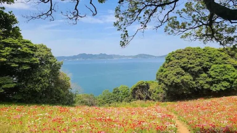 Fukuoka:Nokonoshima Island Day Trip with Tour Guide& Driver - A Closer Look at the Journey to Nokonoshima Island