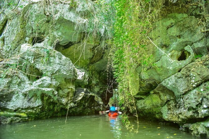 Full-Day Bor Thor Sea Cave Kayaking Adventure from Krabi - Final Thoughts