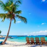 Full-Day Catalina Island Snorkeling Excursion from Punta Cana - Who Will Love This Tour?