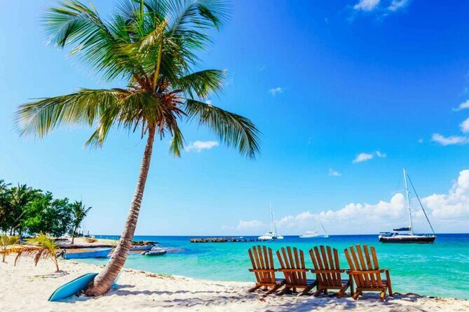 Full-Day Catalina Island Snorkeling Excursion from Punta Cana - Who Will Love This Tour?