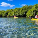 Full Day Clear Kayak Rental Grand Turk - Authentic Feedback from Participants