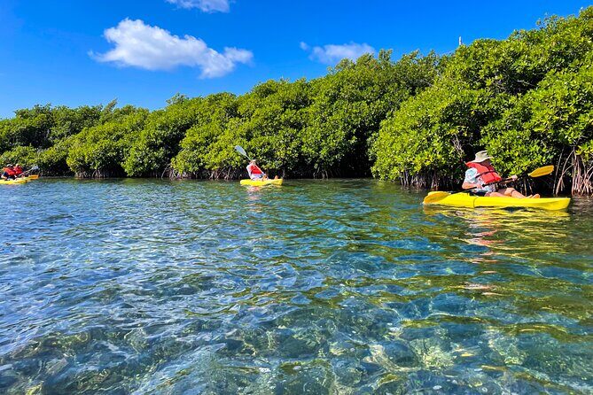 Full Day Clear Kayak Rental Grand Turk - Authentic Feedback from Participants