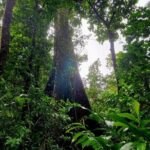 Full Day Hike Tour from Dominica - Who Is This Tour Perfect For?