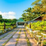 Full Day Private Shore Tour: Taste, Sea & Swim in Port Vila - Practical Details and Value