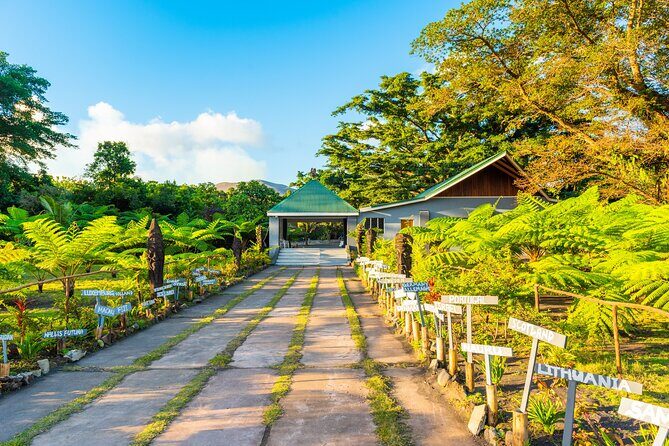 Full Day Private Shore Tour: Taste, Sea & Swim in Port Vila - Practical Details and Value