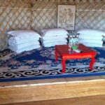 Full-Day Private Tour in Xilamuren Grassland with Lunch - Who Would Love This Experience?