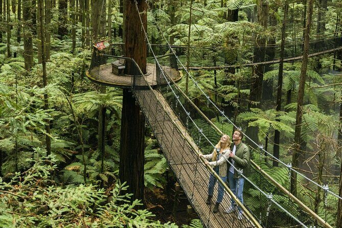 FULL DAY ROTORUA TOUR - Fully Customisable 13 hours Unlimited KMS - What Travelers Say