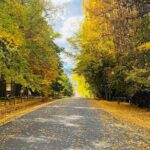 Full Day Sightseeing Tour To Discover Queenstown's Scenic Wonder - Transportation & Duration